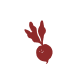 Image circle Image circle